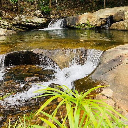 Pepper Garden Resort เอลลา ภายนอก รูปภาพ