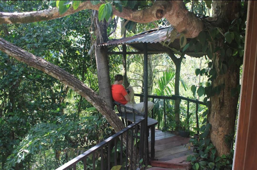 Pepper Garden Resort เอลลา ภายนอก รูปภาพ